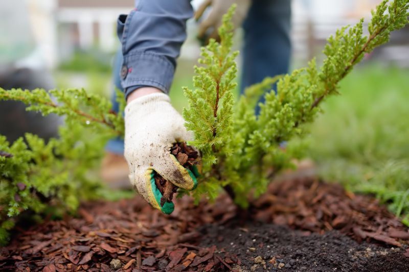 Commercial Mulching in Honolulu, HI