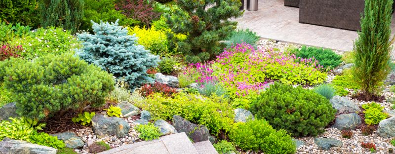 Commercial Mulching in Honolulu, HI
