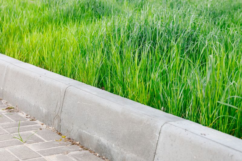 Curbing Installation in Citrus County, FL