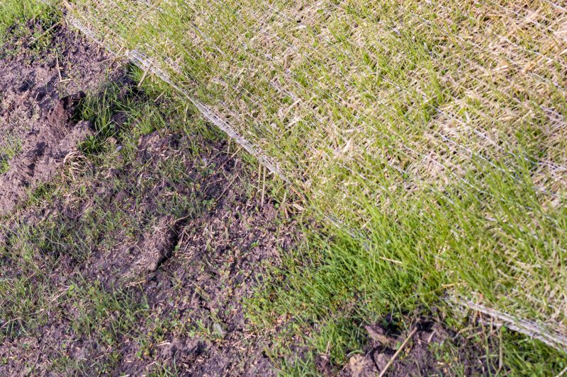 Erosion Control Service in Honolulu, HI