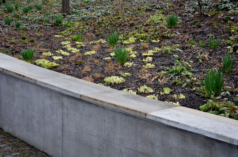 Erosion Control Service in Honolulu, HI
