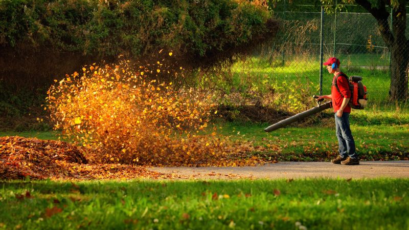 Leaf Blowing Process