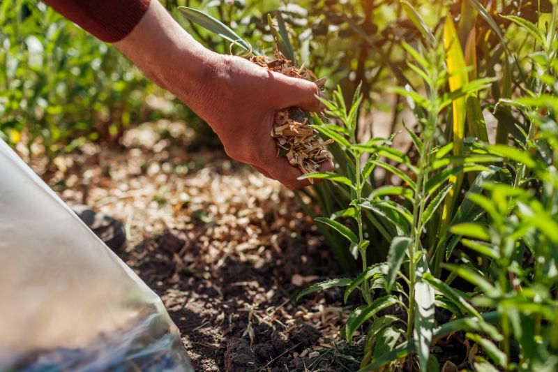 Seasonal Mulching