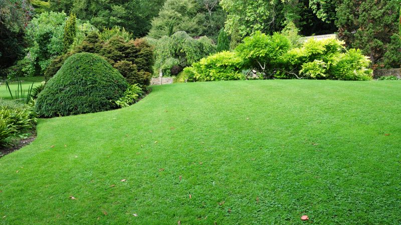 Park Landscaping in Honolulu, HI