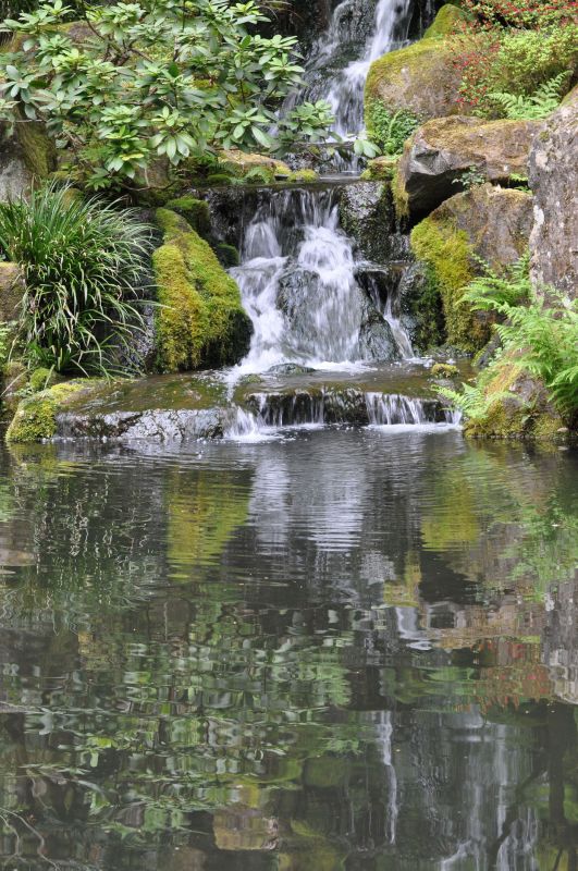 Pond Waterfall Construction in Honolulu, HI