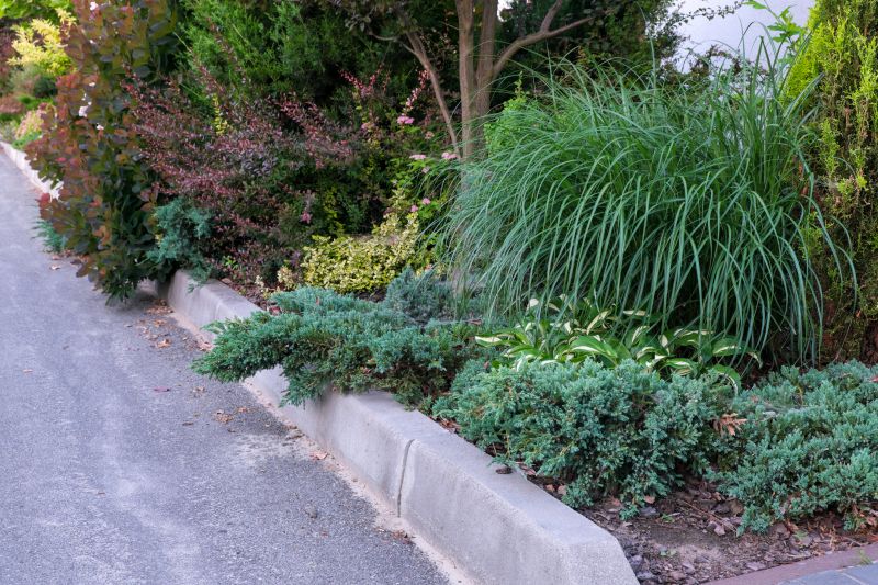 Tree Curbing Installation in Citrus County, FL