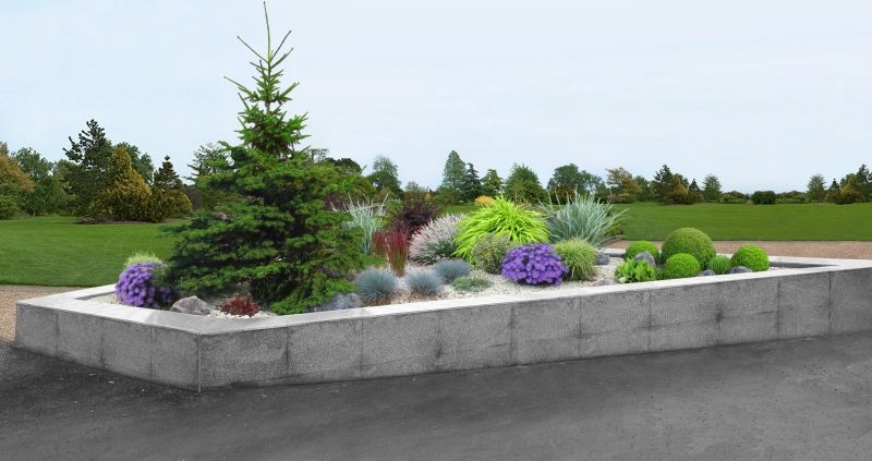Tree Curbing Installation in Citrus County, FL