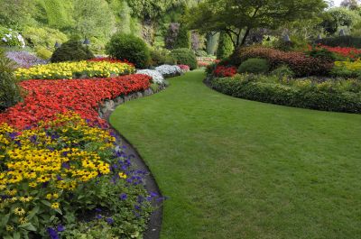 Flower Bed Maintenance Promotions